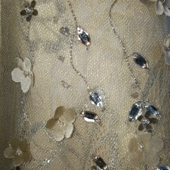 #◇$9,000 NEW CAROLINA HERRERA PRETTY GOLD BLUSH SILVER EMBR CRYSTAL GOWN 10 L - Picture 11 of 12